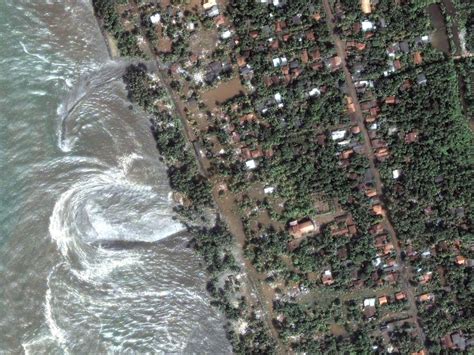 tsunami pictures real life.